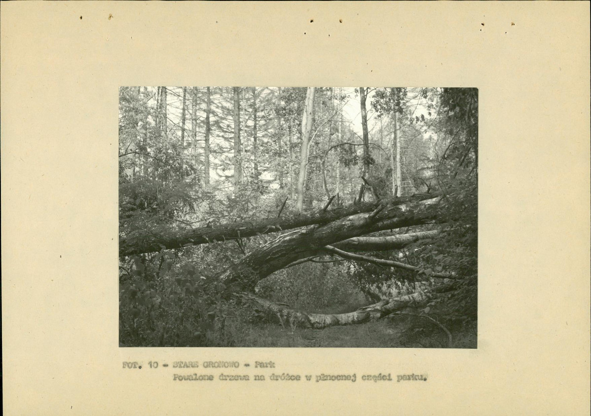 Ewidencja parkowa, skan nr 33