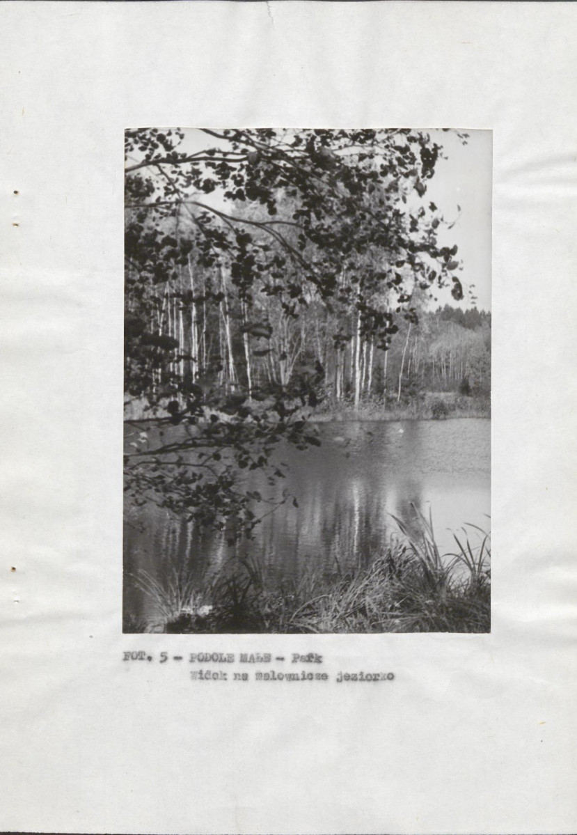 EP - Ewidencja parkowa, skan nr 14