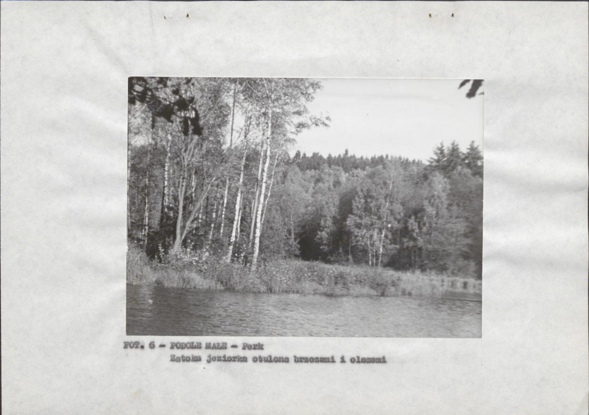 EP - Ewidencja parkowa, skan nr 15