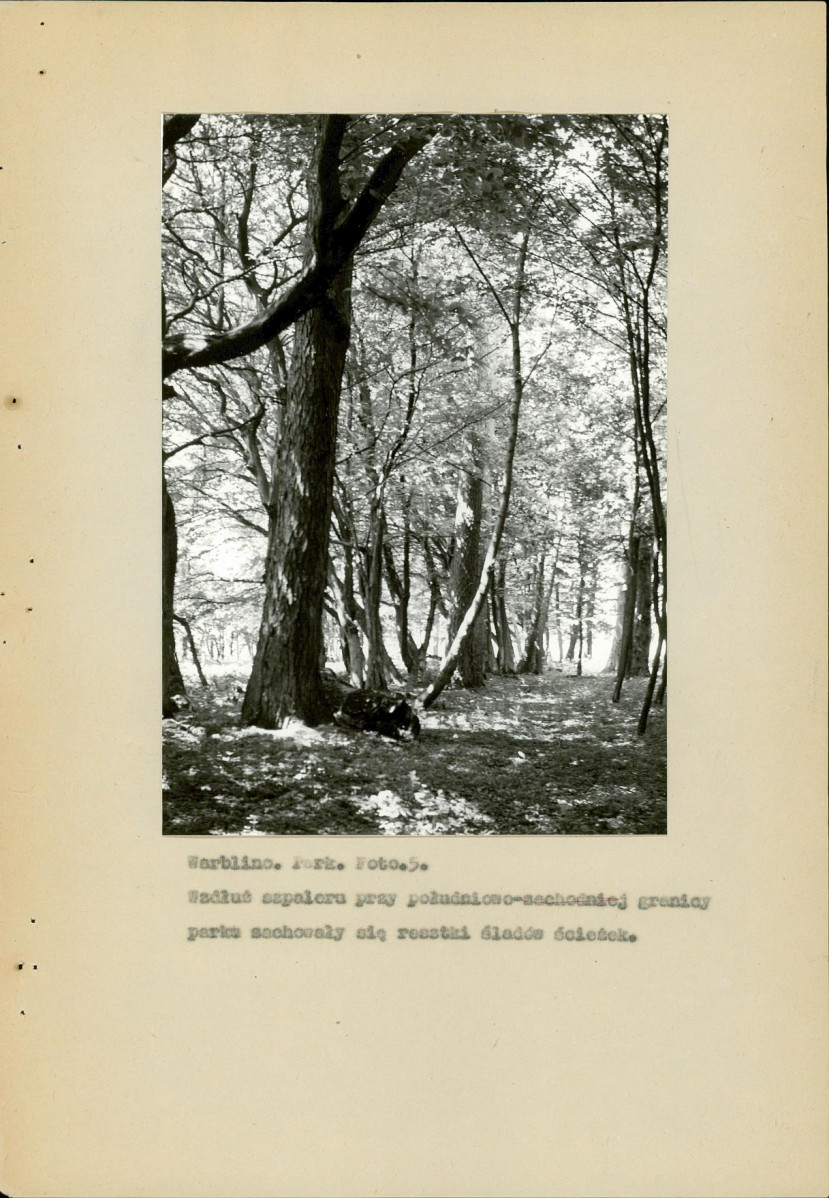EP - Ewidencja parkowa, skan nr 23