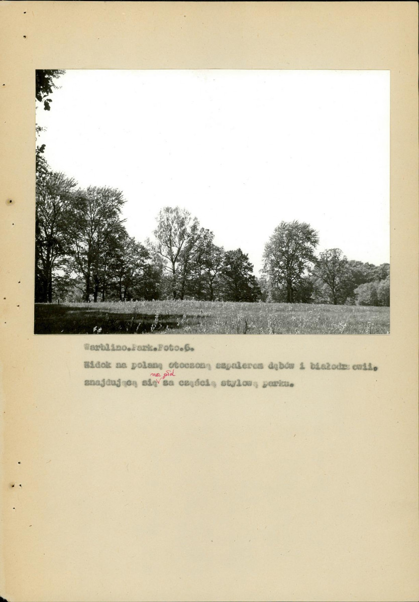 EP - Ewidencja parkowa, skan nr 24