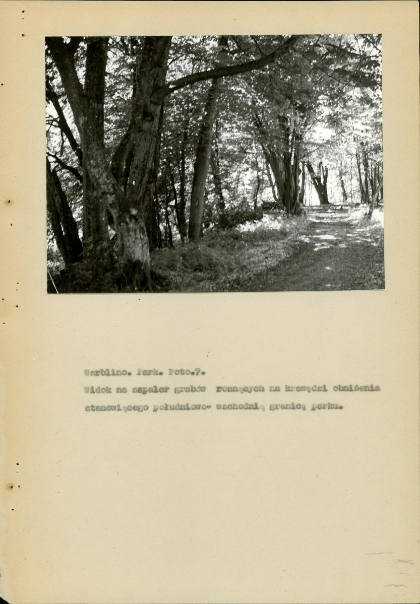 EP - Ewidencja parkowa, skan nr 25