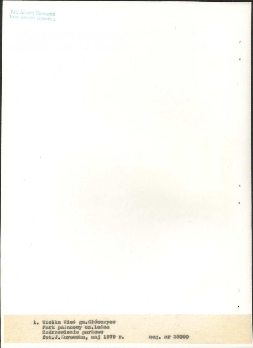 Ewidencja parkowa, skan nr 12