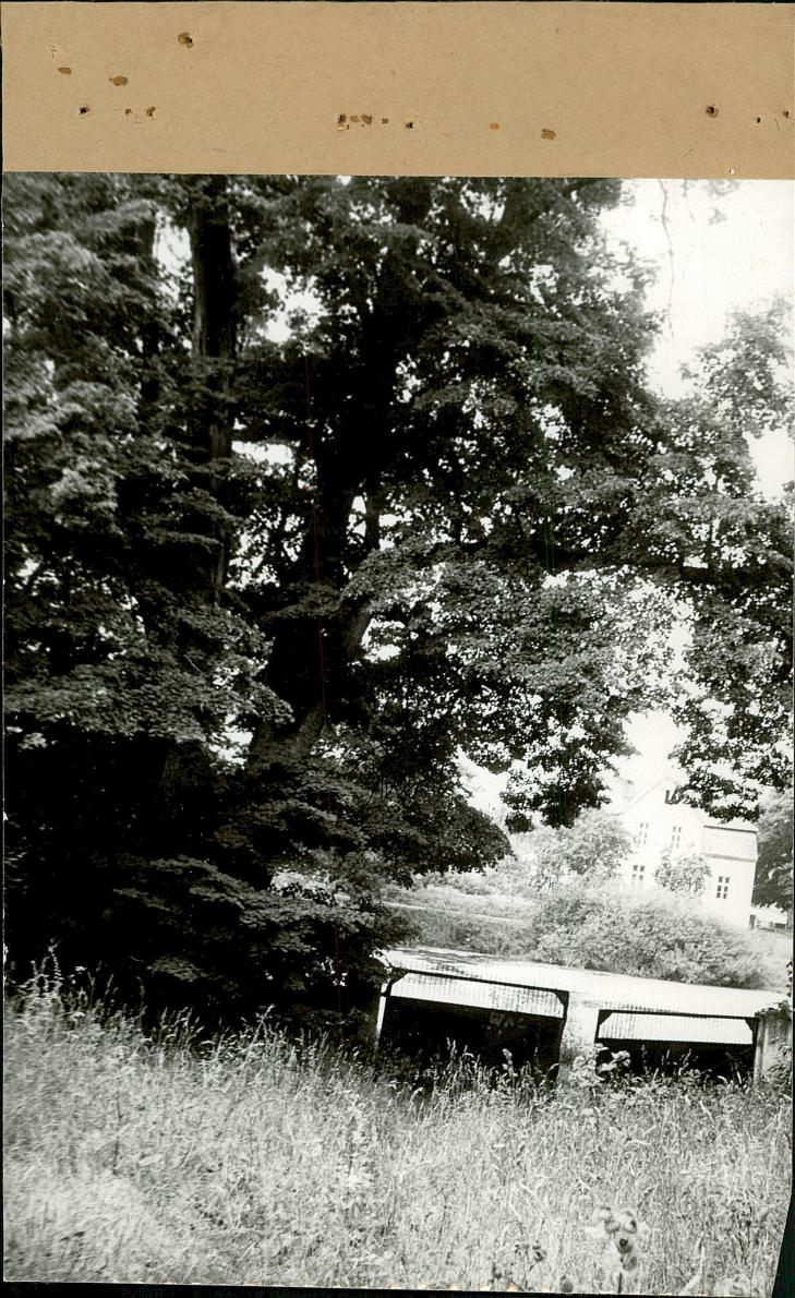 EP - Ewidencja parkowa, skan nr 44