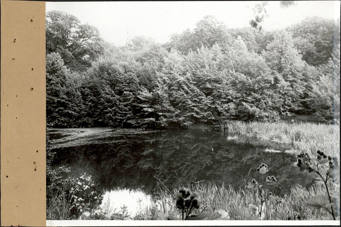 EP - Ewidencja parkowa, skan nr 48