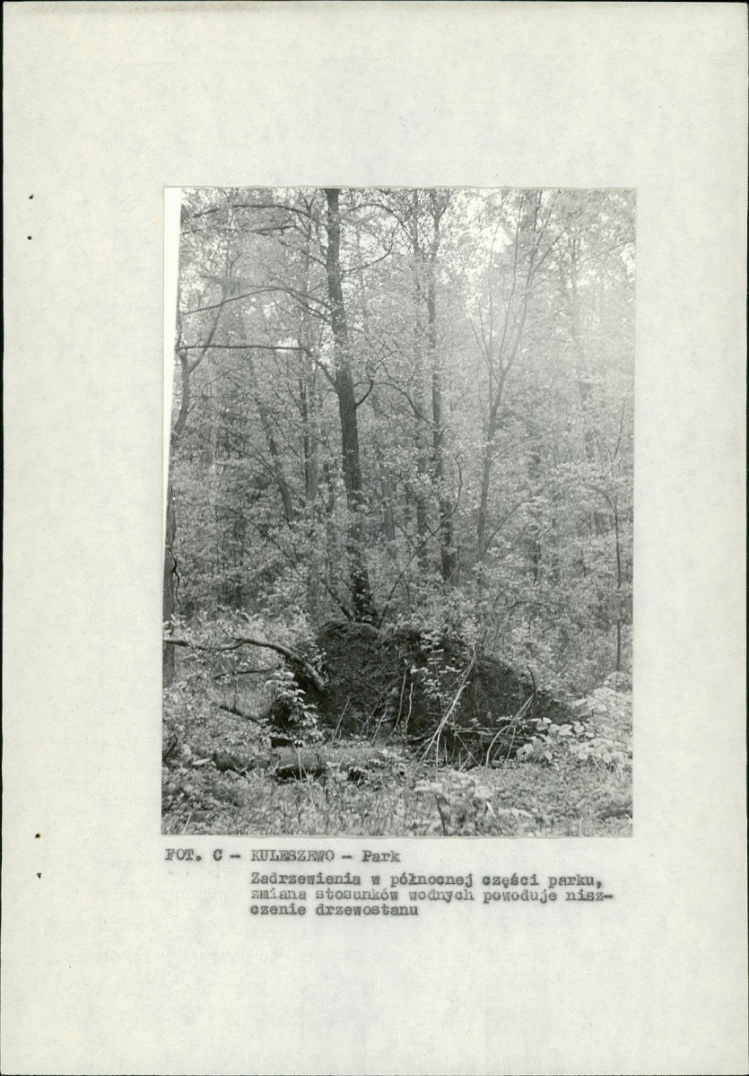 EP - Ewidencja parkowa, skan nr 15