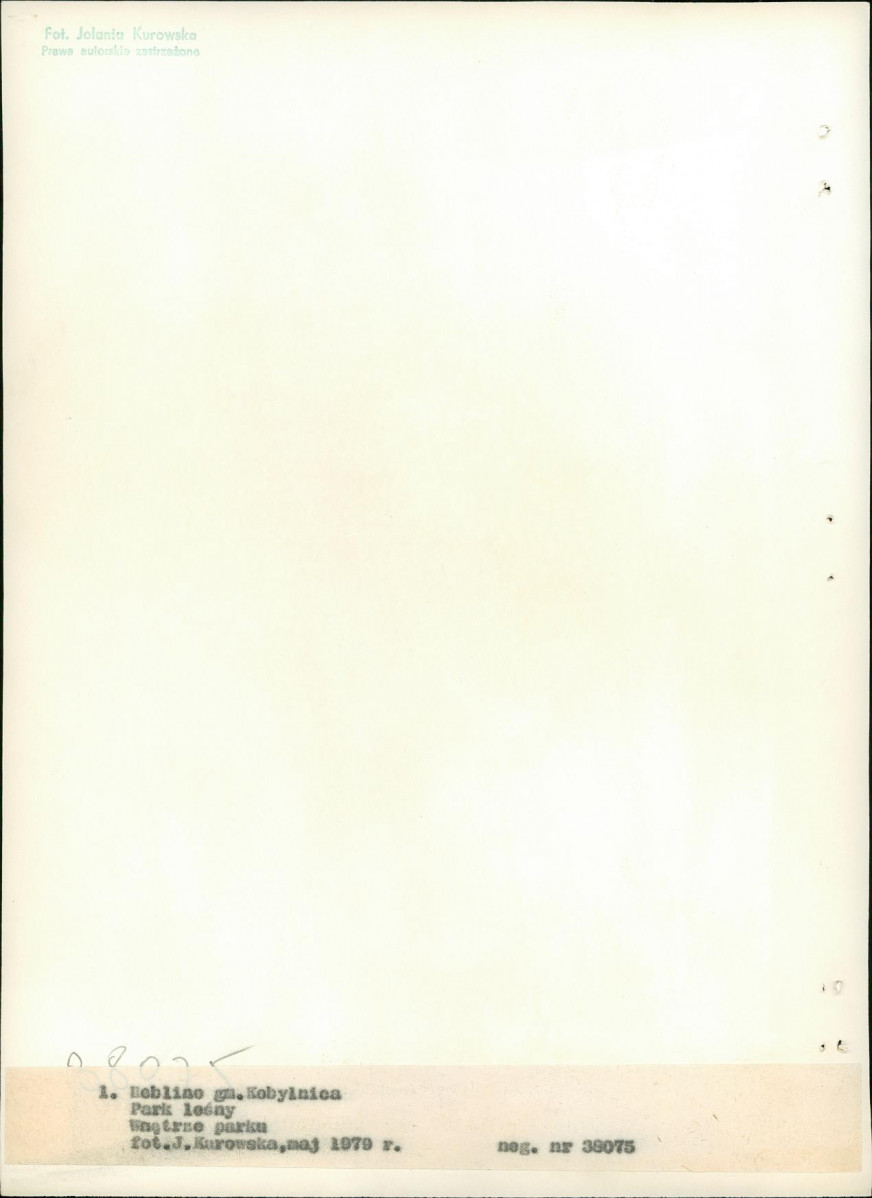 EP - Ewidencja parkowa, skan nr 15