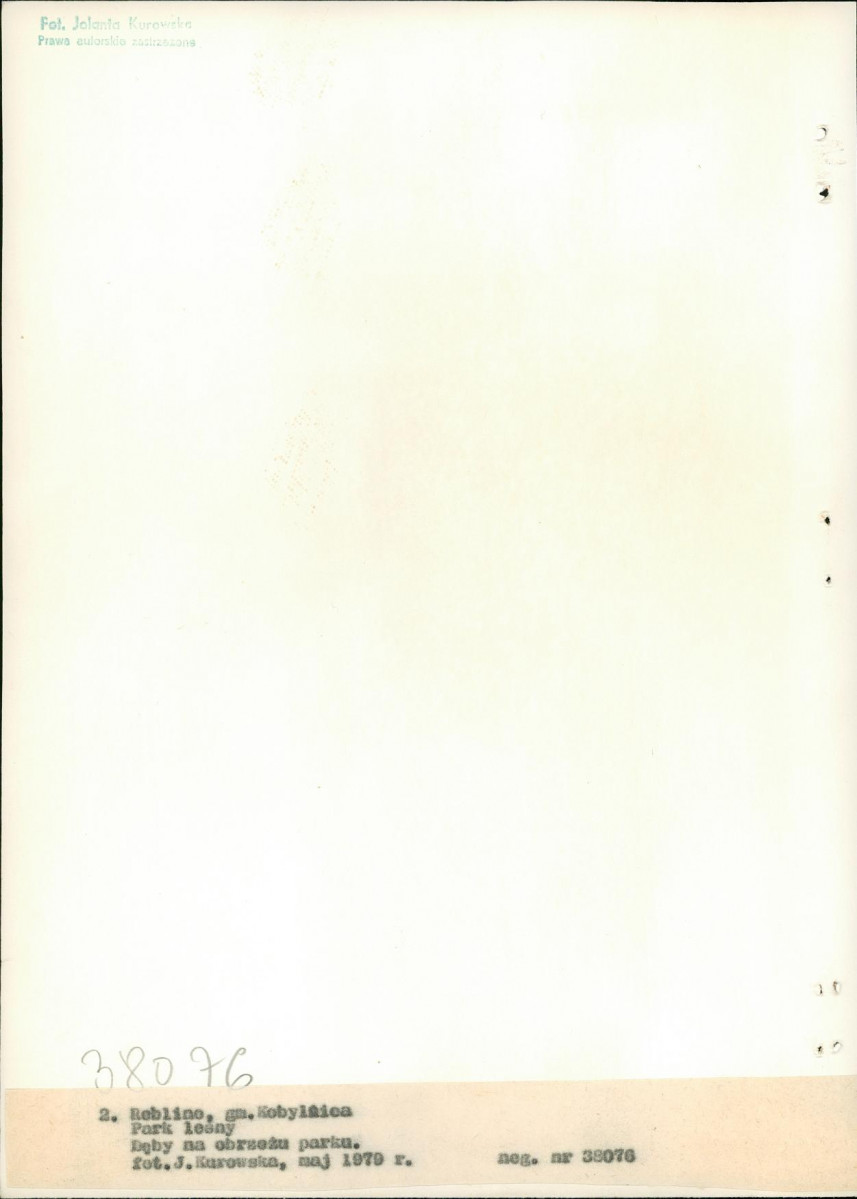 EP - Ewidencja parkowa, skan nr 17