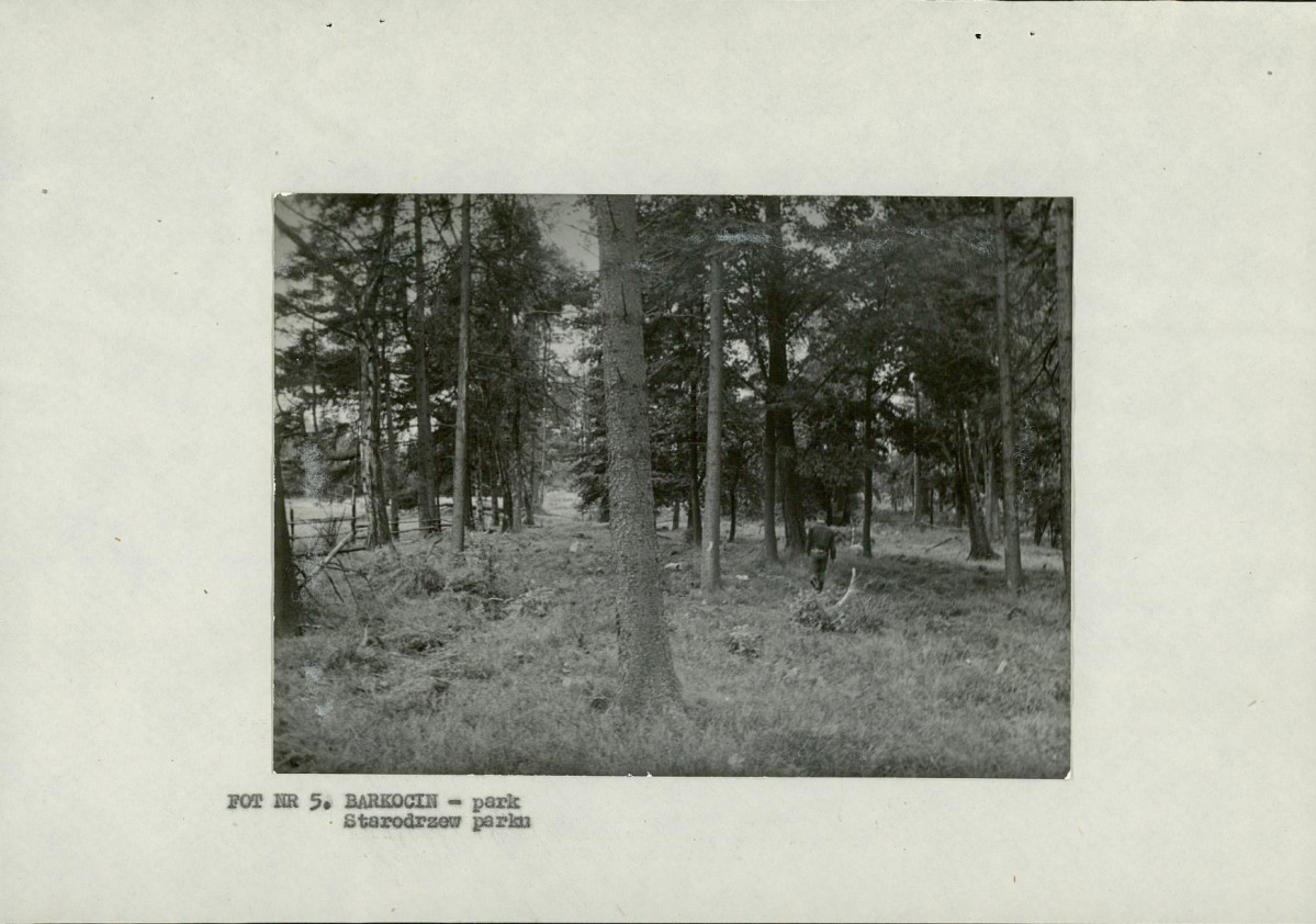 Ewidencja parkowa, skan nr 16