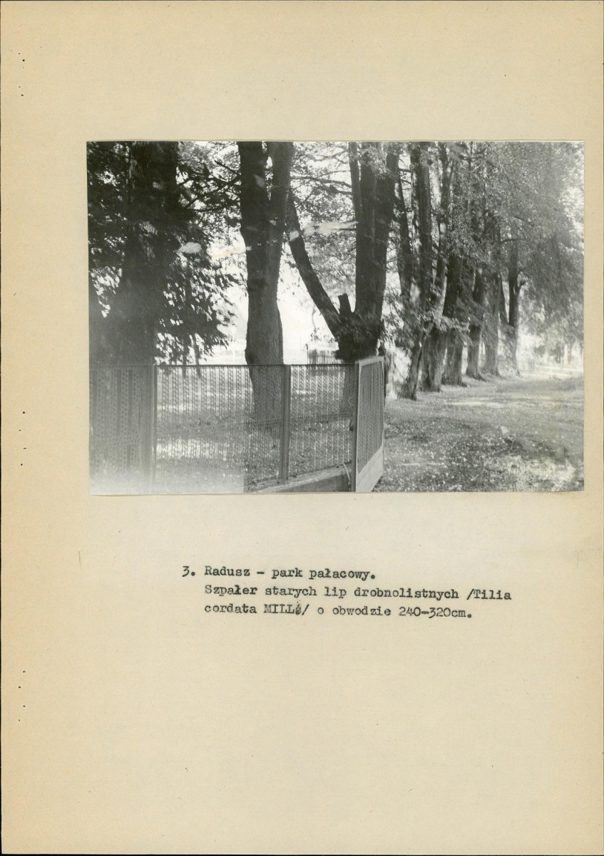 EP - Ewidencja parkowa, skan nr 17