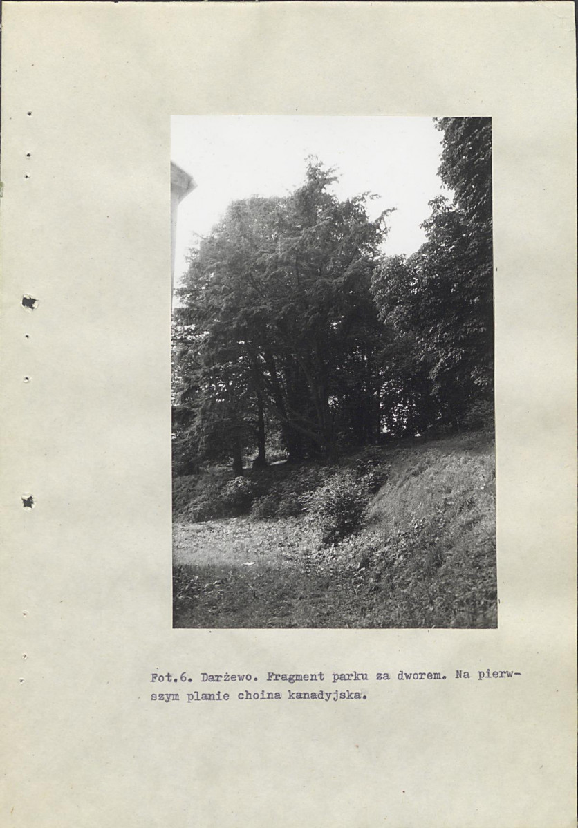Ewidencja parkowa, skan nr 39