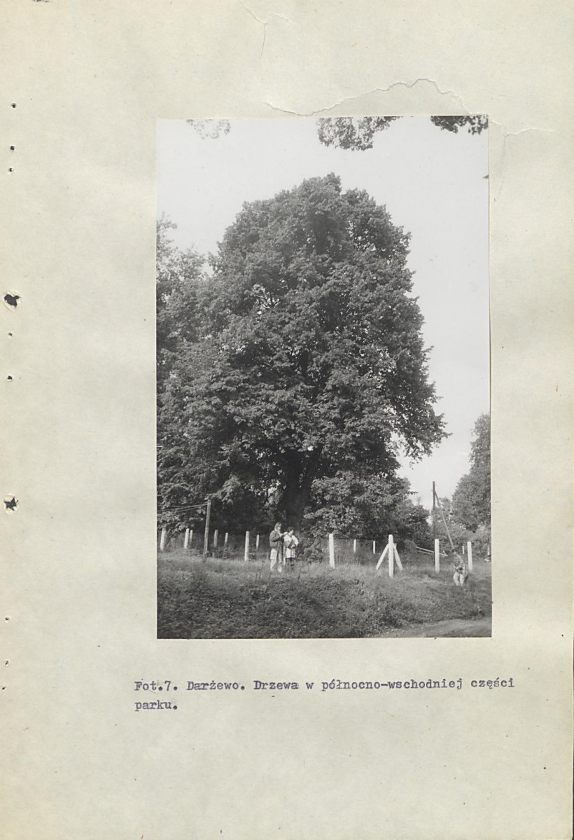 Ewidencja parkowa, skan nr 40