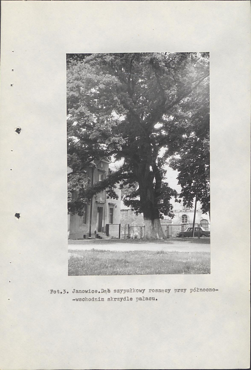 Ewidencja parkowa, skan nr 49