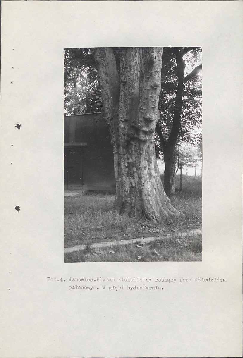 Ewidencja parkowa, skan nr 50