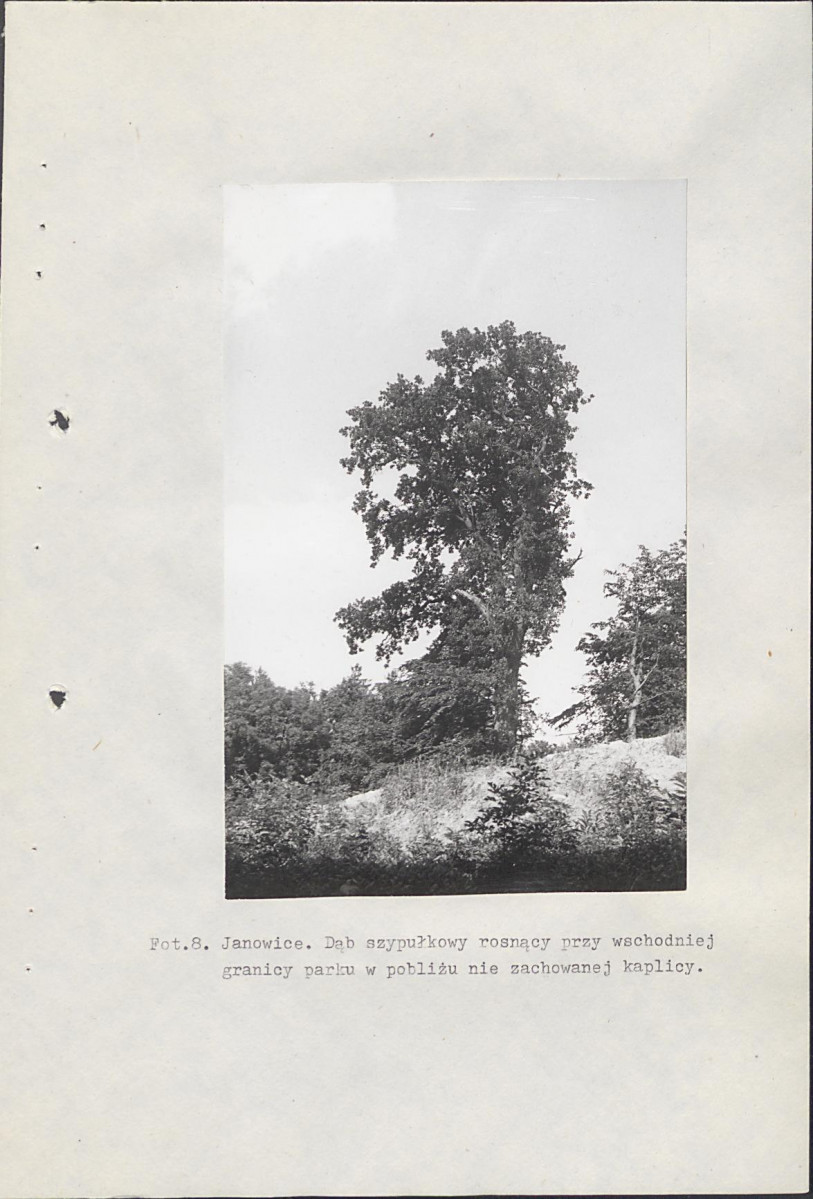 Ewidencja parkowa, skan nr 54