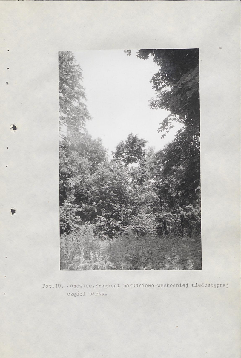 Ewidencja parkowa, skan nr 56