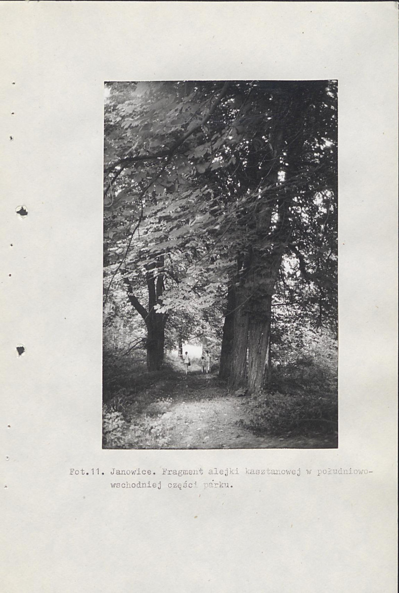 Ewidencja parkowa, skan nr 57