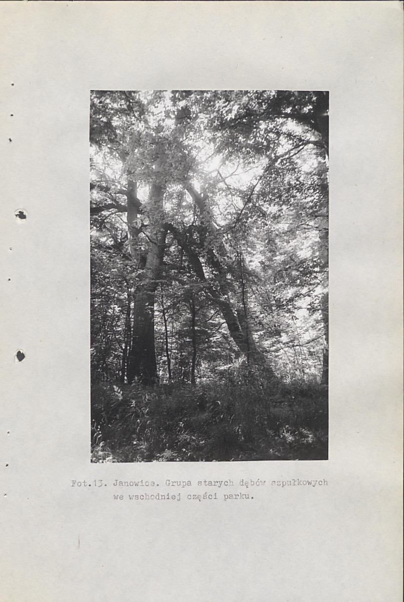 Ewidencja parkowa, skan nr 59