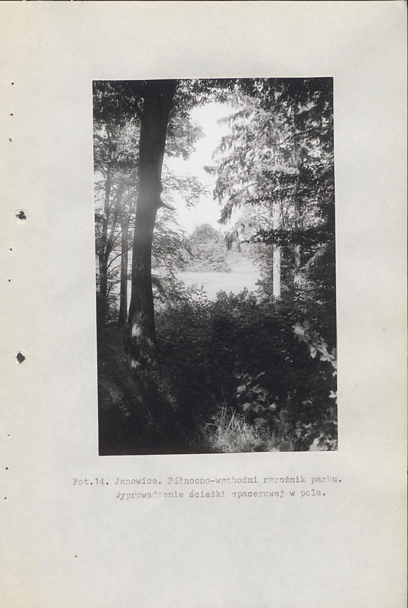 Ewidencja parkowa, skan nr 60