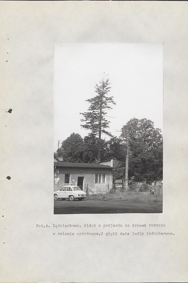 Ewidencja parkowa, skan nr 36
