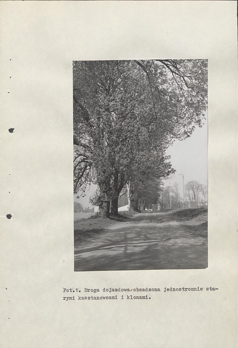 Ewidencja parkowa, skan nr 33