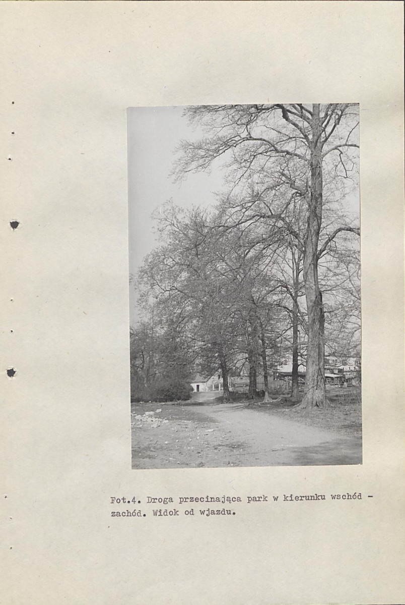 Ewidencja parkowa, skan nr 36