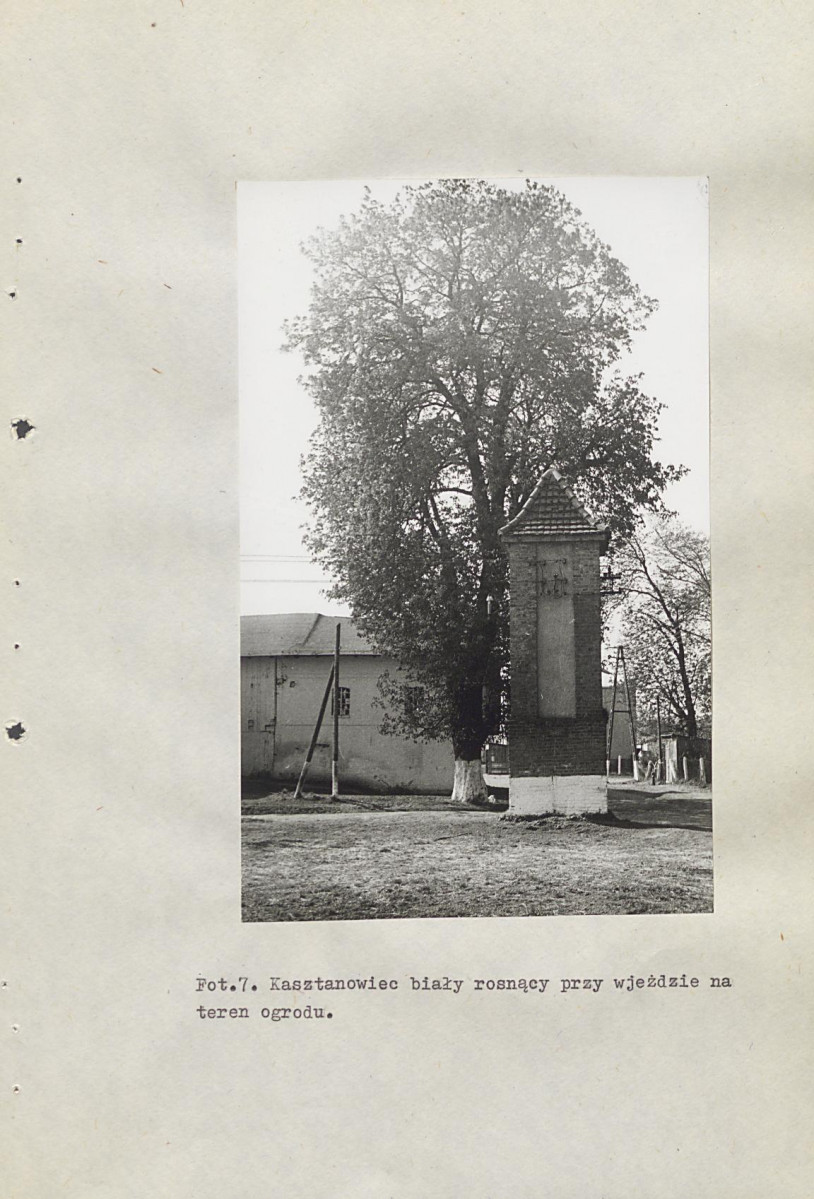 Ewidencja parkowa, skan nr 39