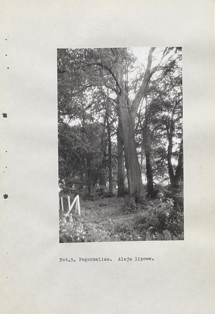 Ewidencja parkowa, skan nr 43