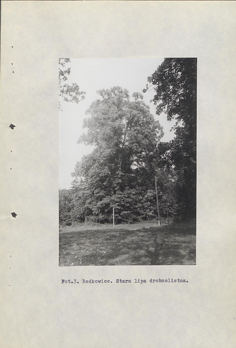 Ewidencja parkowa, skan nr 33