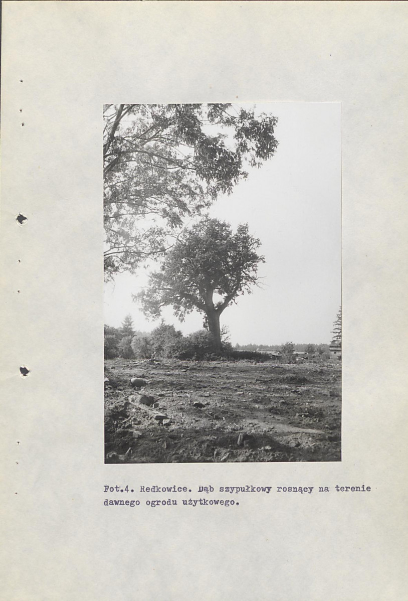 Ewidencja parkowa, skan nr 34