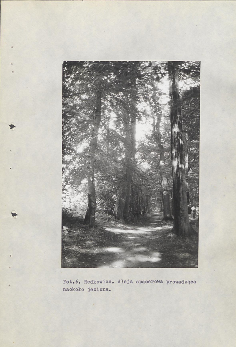 Ewidencja parkowa, skan nr 36