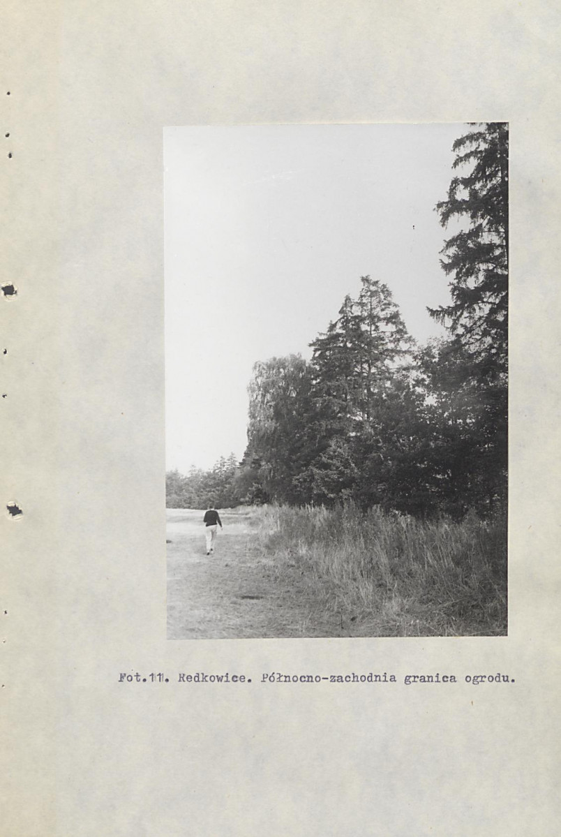 Ewidencja parkowa, skan nr 41