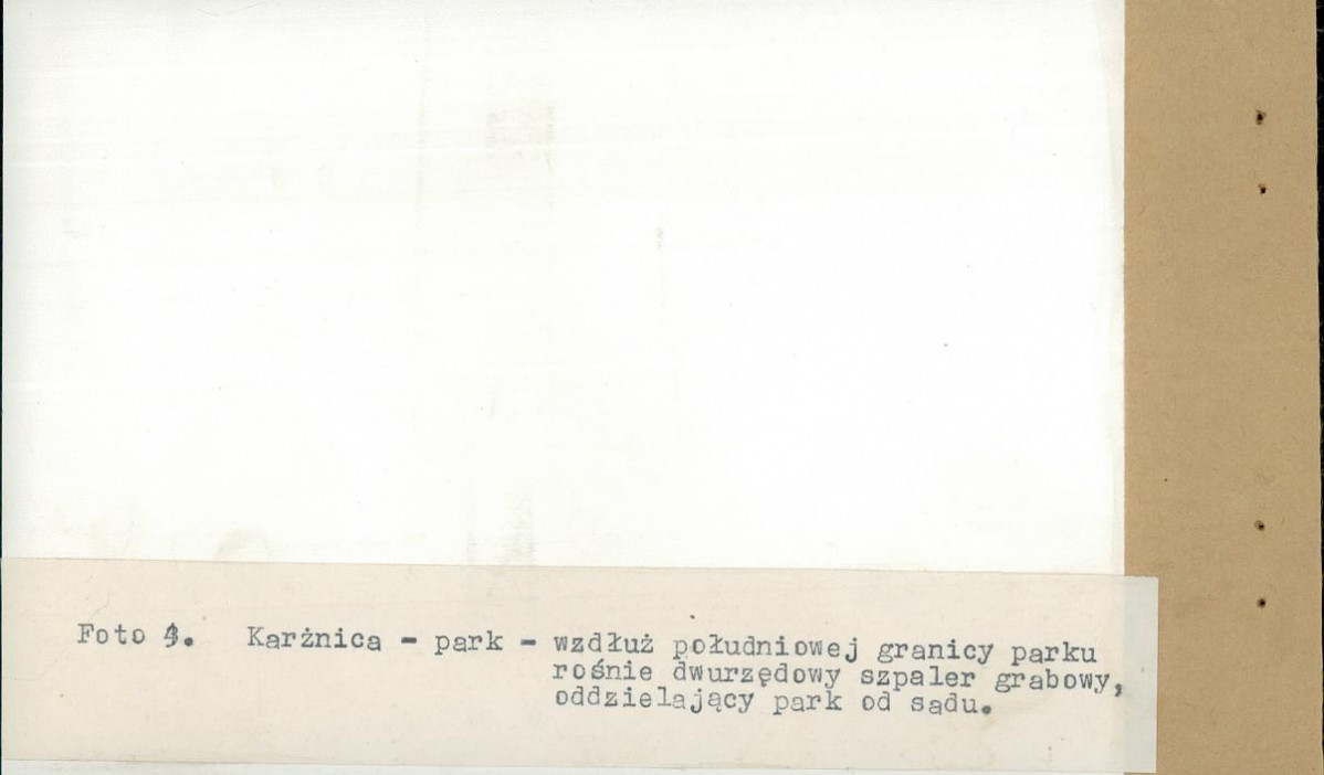 EP - Ewidencja parkowa, skan nr 28