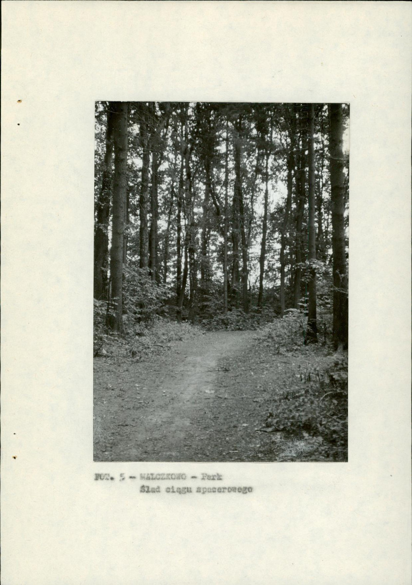 EP - Ewidencja parkowa, skan nr 15
