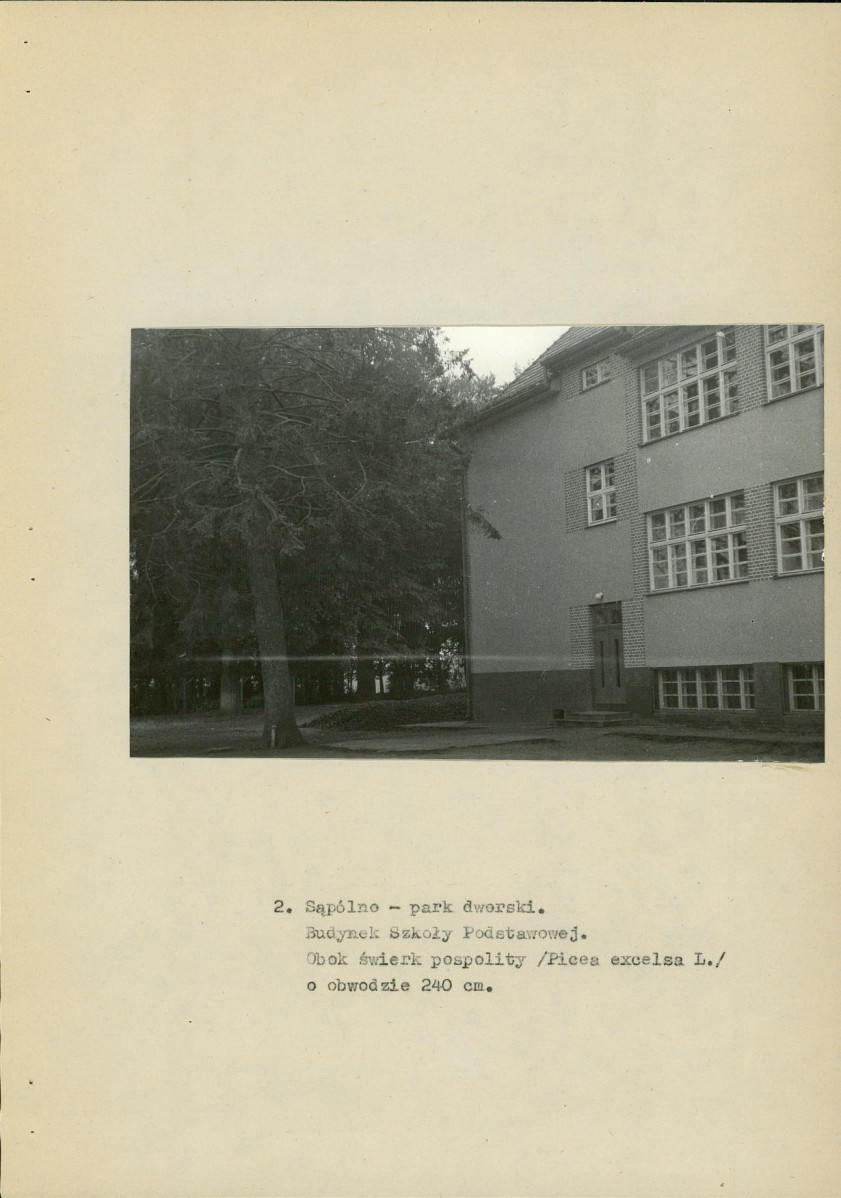 Ewidencja parkowa, skan nr 16