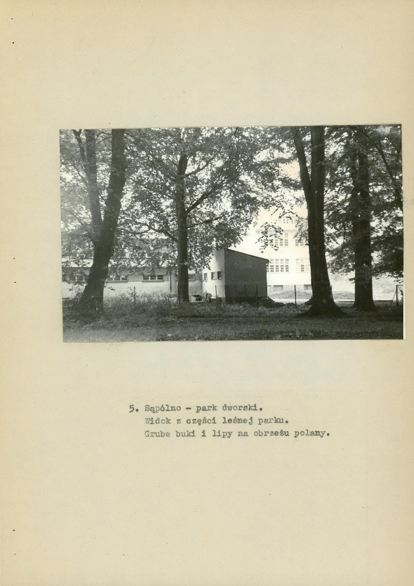 Ewidencja parkowa, skan nr 19
