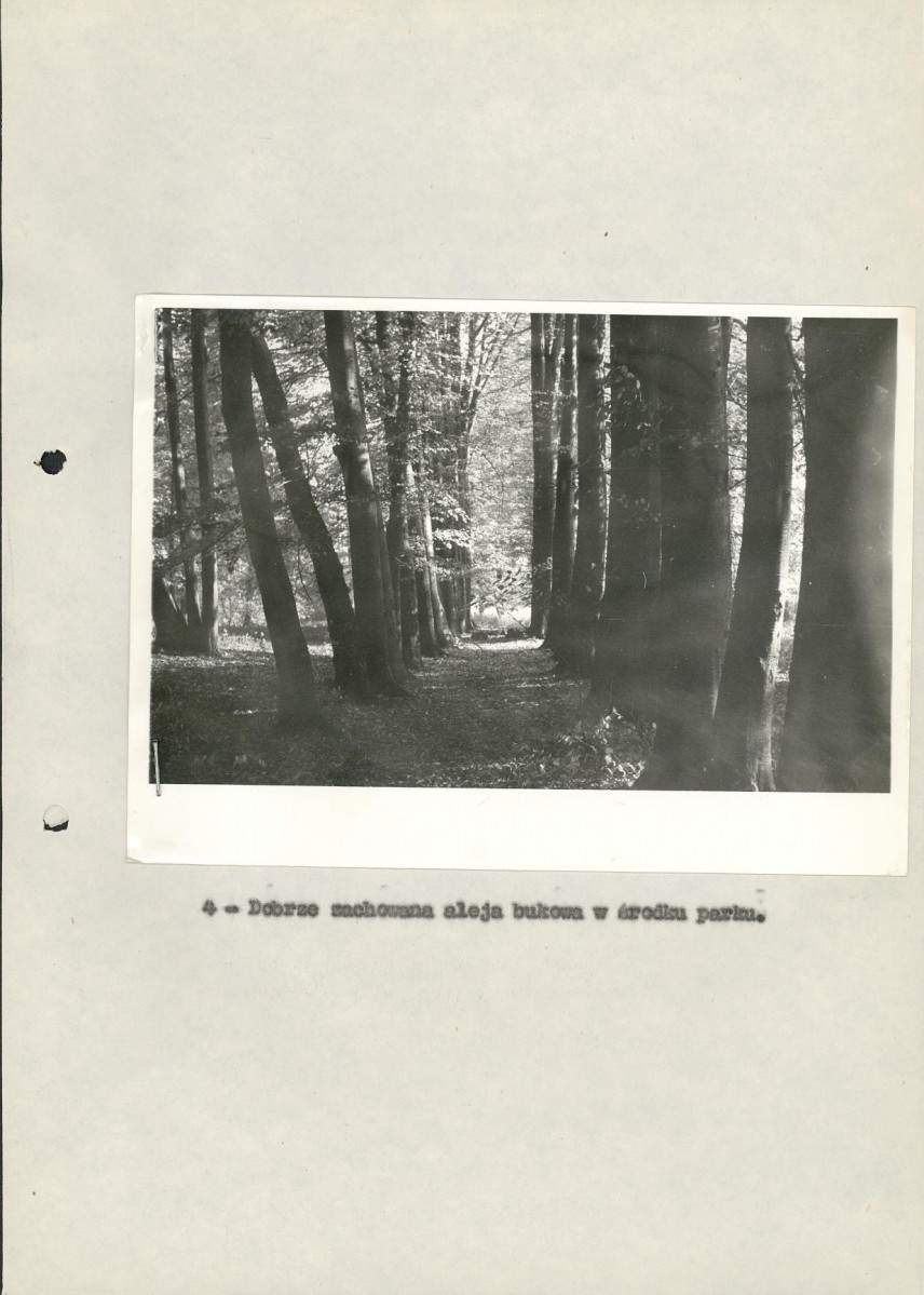 Ewidencja parkowa, skan nr 21