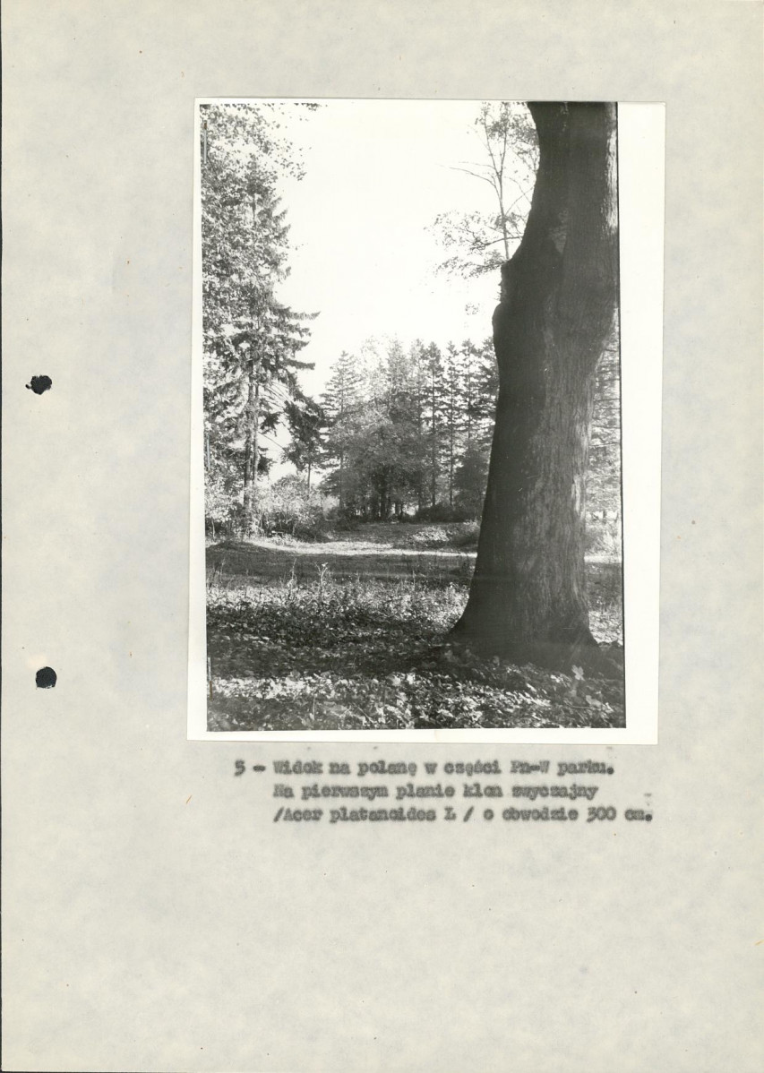 Ewidencja parkowa, skan nr 22
