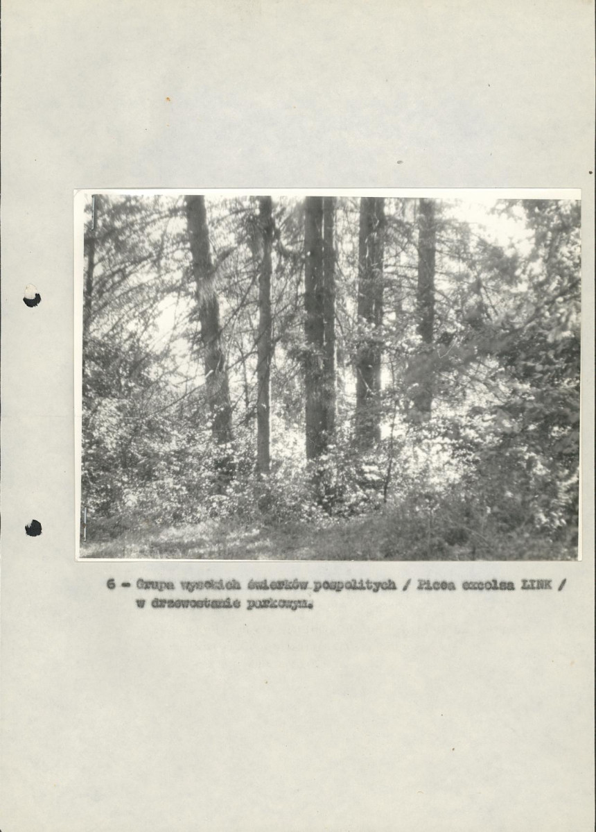 Ewidencja parkowa, skan nr 23
