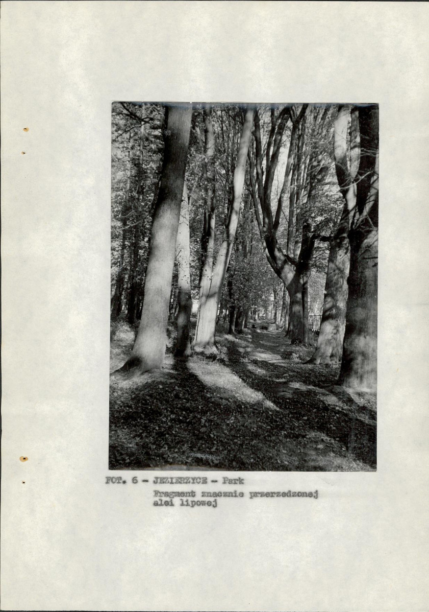 EP - Ewidencja parkowa, skan nr 16