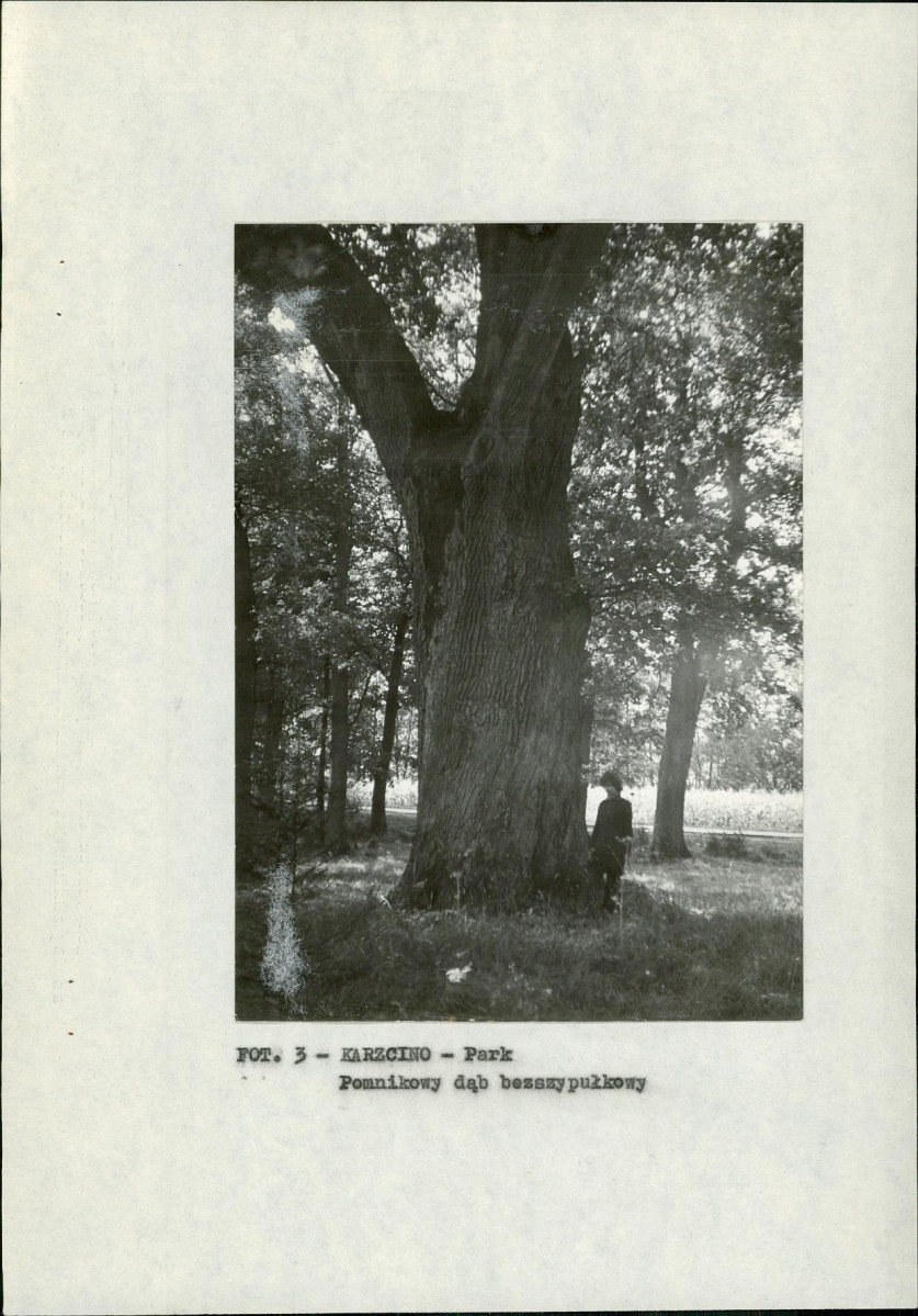 EP - Ewidencja parkowa, skan nr 14