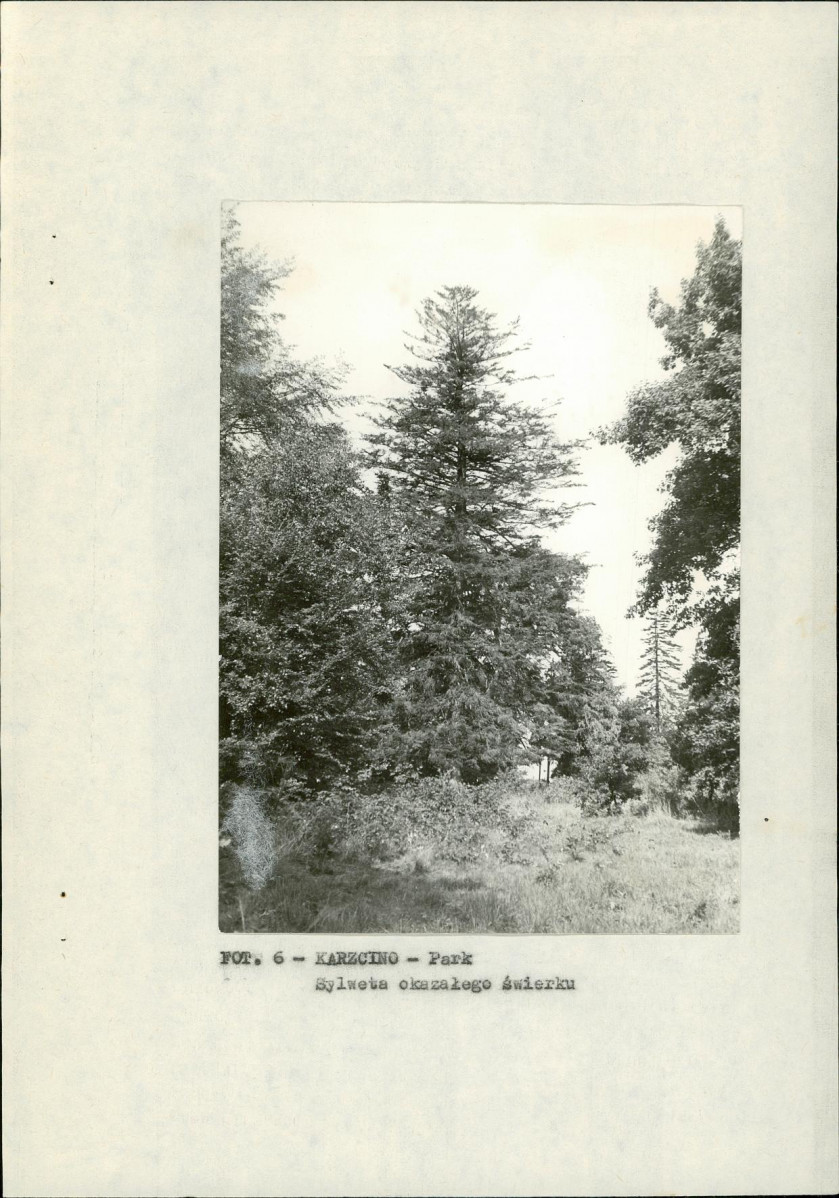 EP - Ewidencja parkowa, skan nr 17
