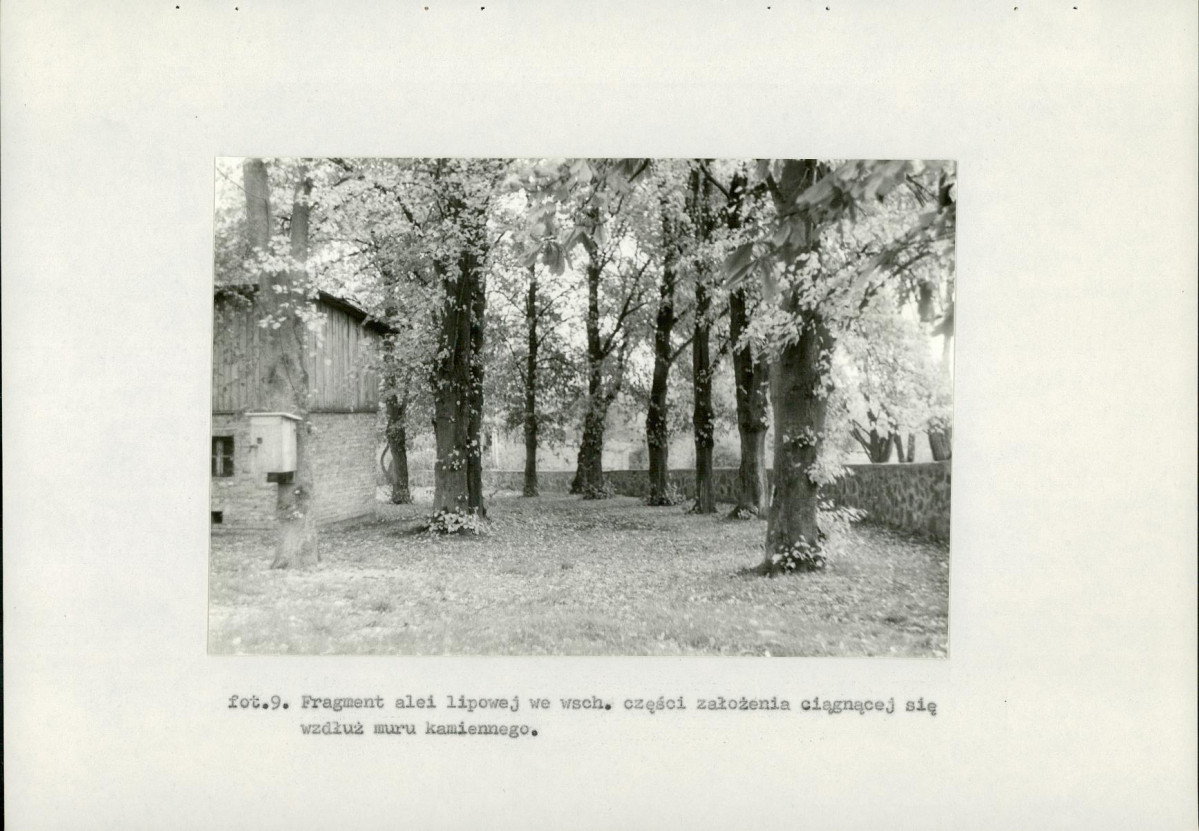 EP - Ewidencja parkowa, skan nr 47