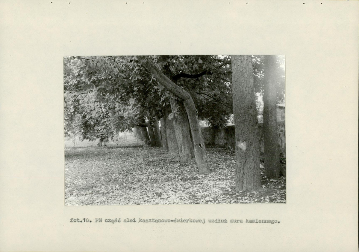 EP - Ewidencja parkowa, skan nr 48