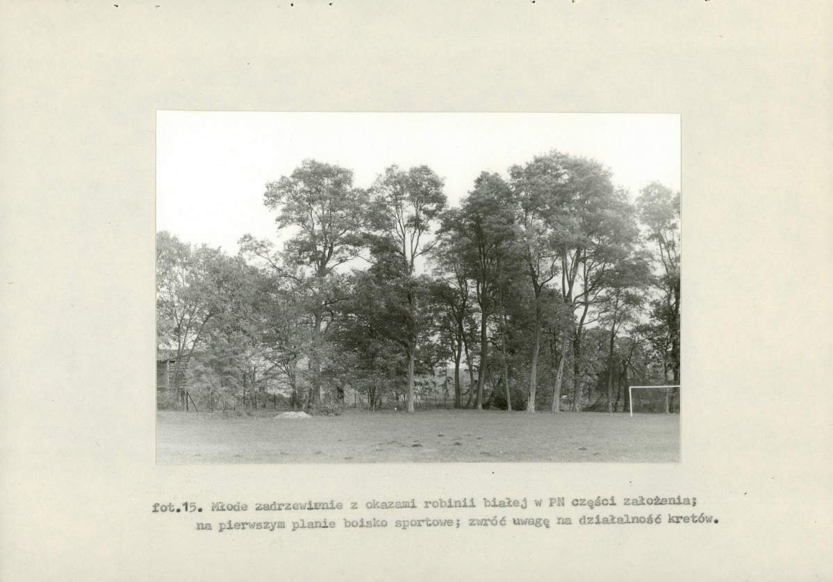 EP - Ewidencja parkowa, skan nr 53