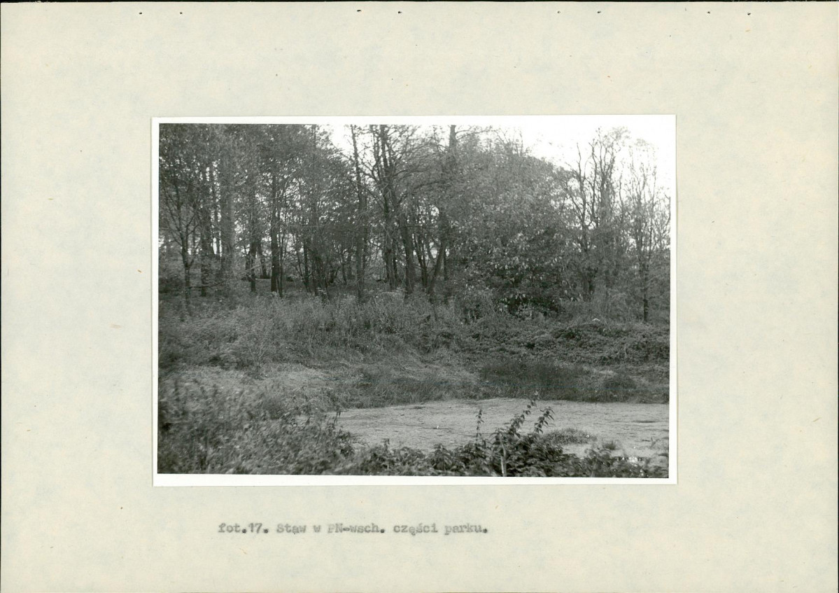 EP - Ewidencja parkowa, skan nr 53