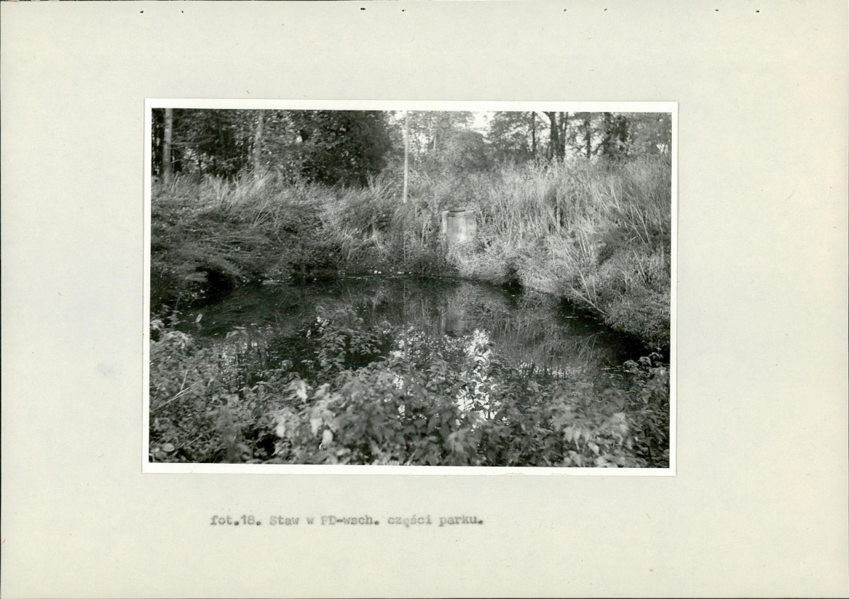 EP - Ewidencja parkowa, skan nr 54