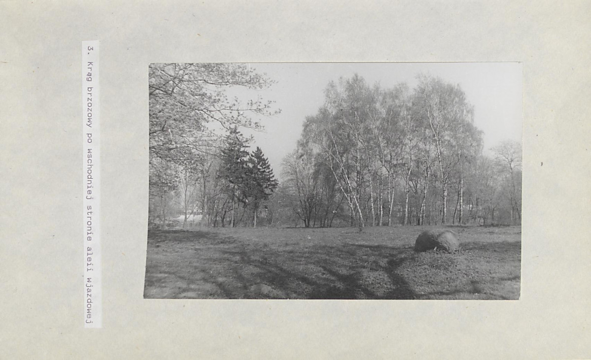 Ewidencja parkowa, skan nr 29