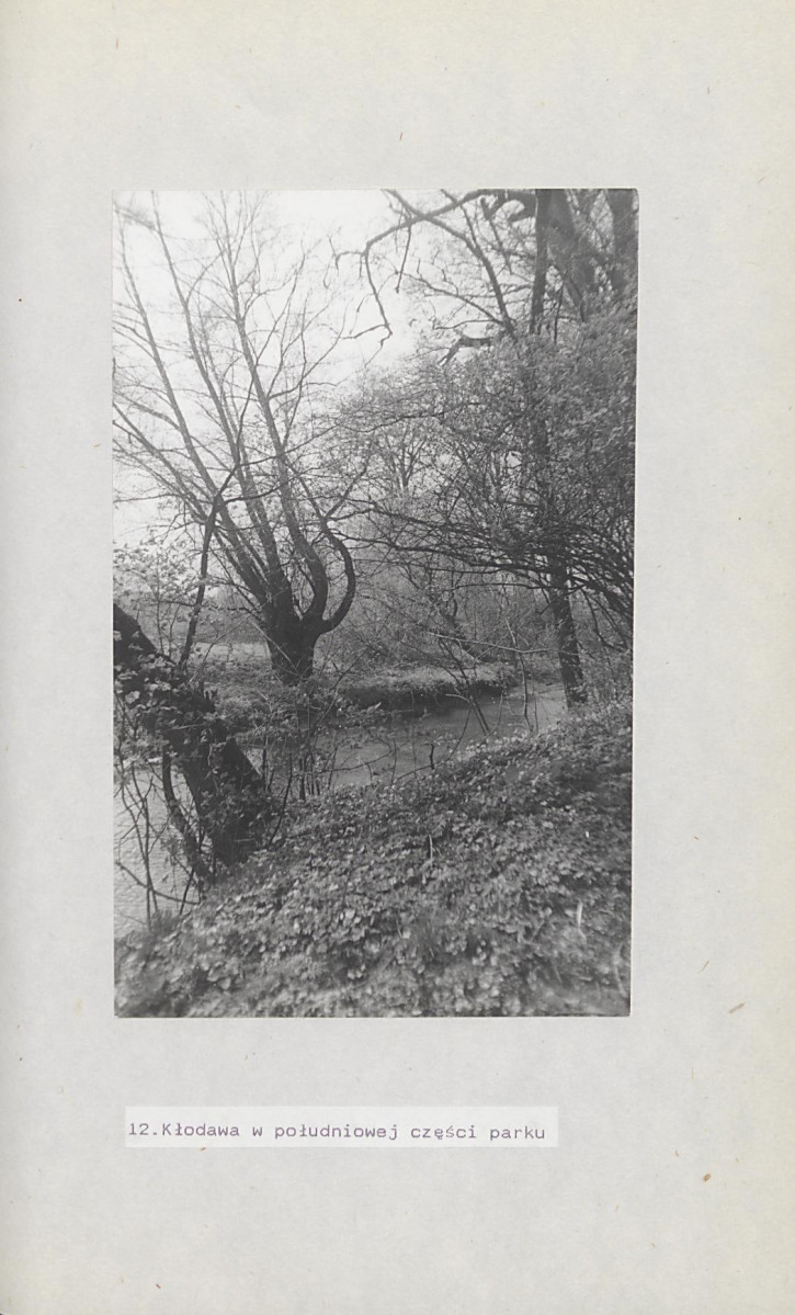Ewidencja parkowa, skan nr 38