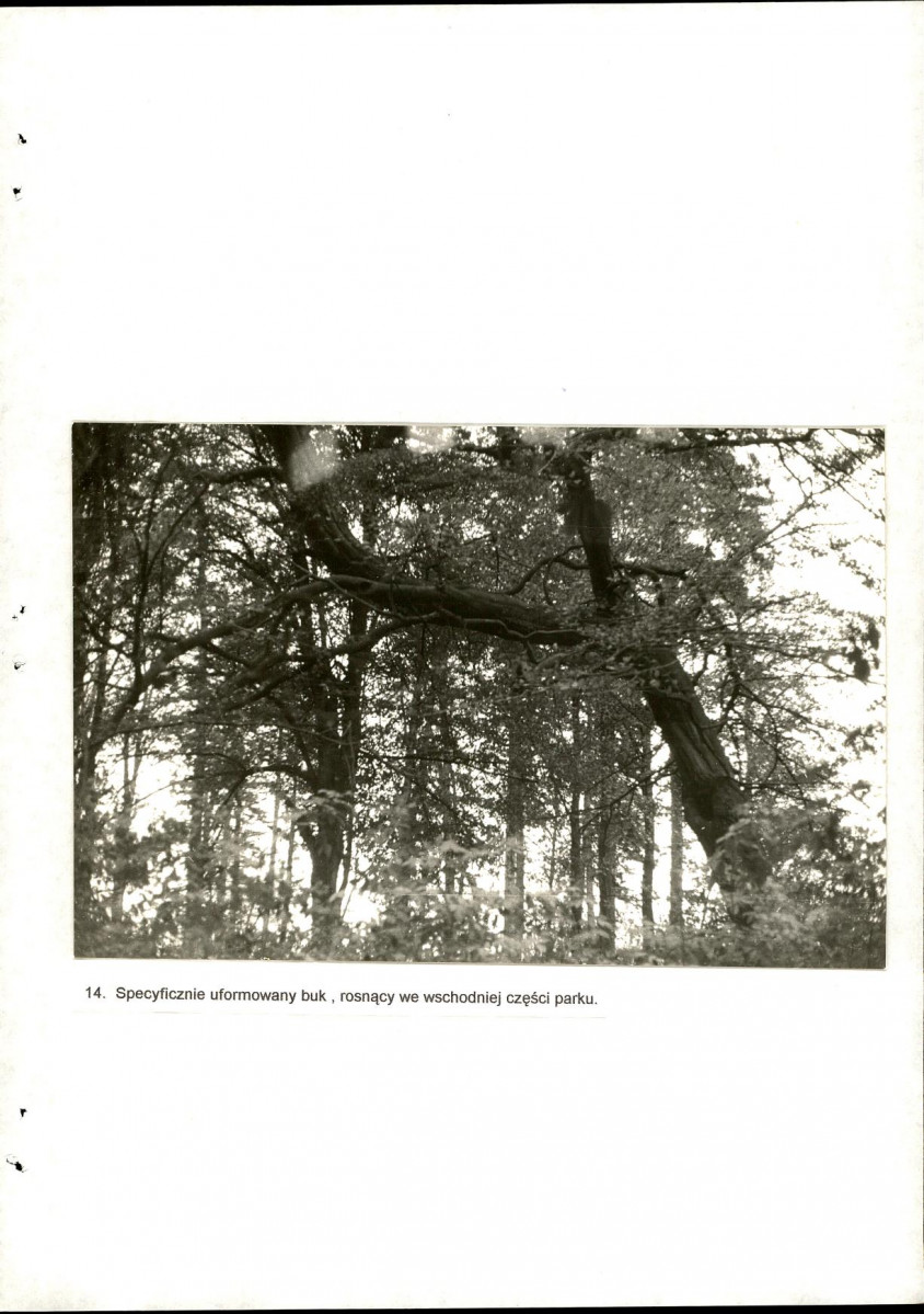 Ewidencja parkowa, skan nr 46